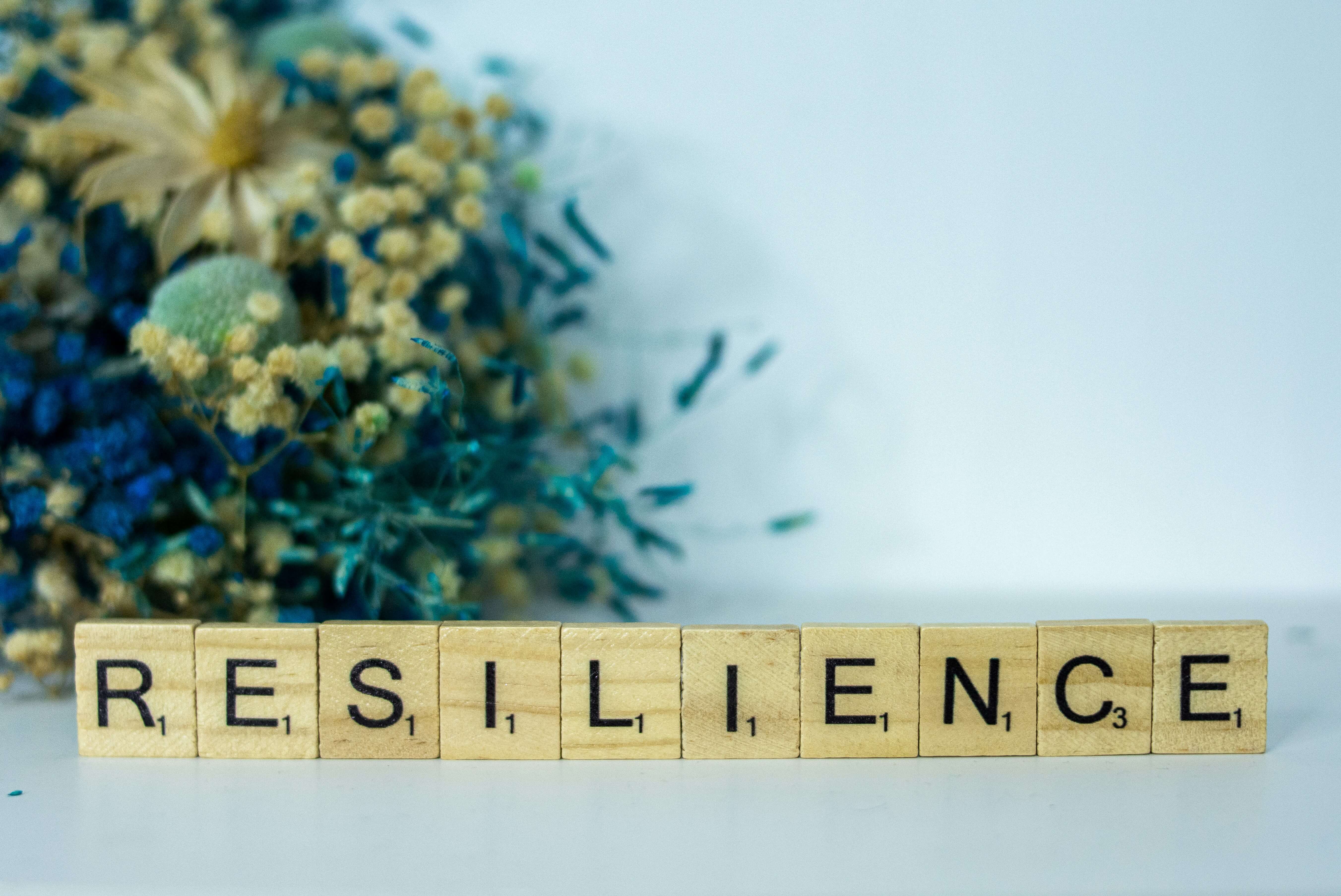 Supply Chain Resilience